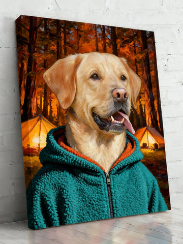 Teal Comfort